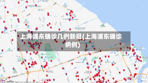 上海浦东确诊几例新冠(上海浦东确诊病例)-第3张图片