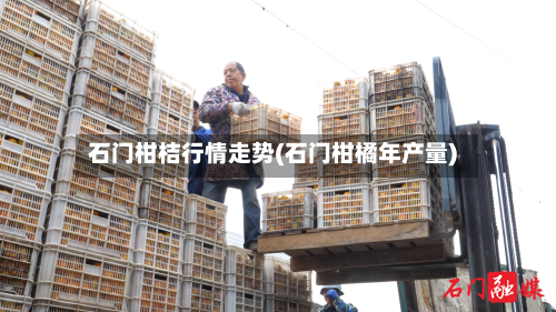 石门柑桔行情走势(石门柑橘年产量)