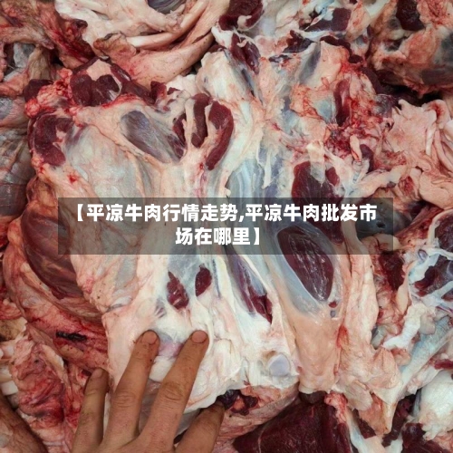 【平凉牛肉行情走势,平凉牛肉批发市场在哪里】