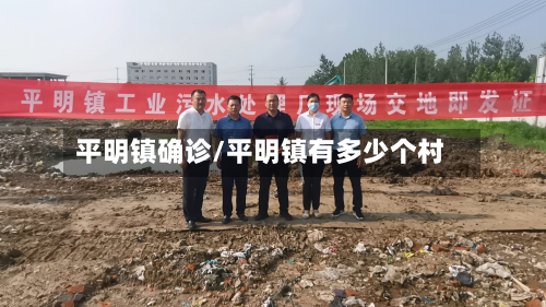 平明镇确诊/平明镇有多少个村-第1张图片