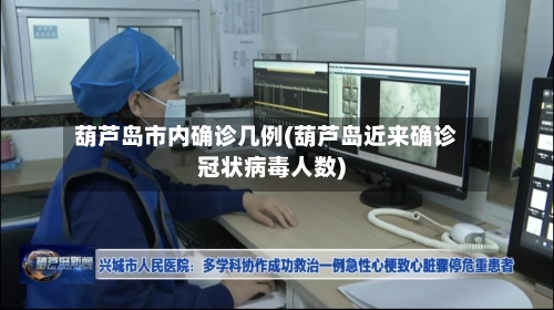 葫芦岛市内确诊几例(葫芦岛近来确诊冠状病毒人数)-第3张图片