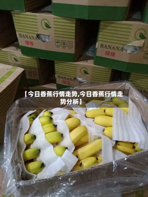 【今日香蕉行情走势,今日香蕉行情走势分析】-第3张图片