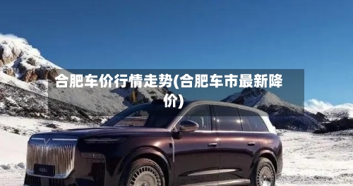 合肥车价行情走势(合肥车市最新降价)-第2张图片