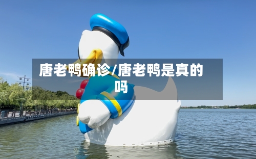 唐老鸭确诊/唐老鸭是真的吗-第2张图片