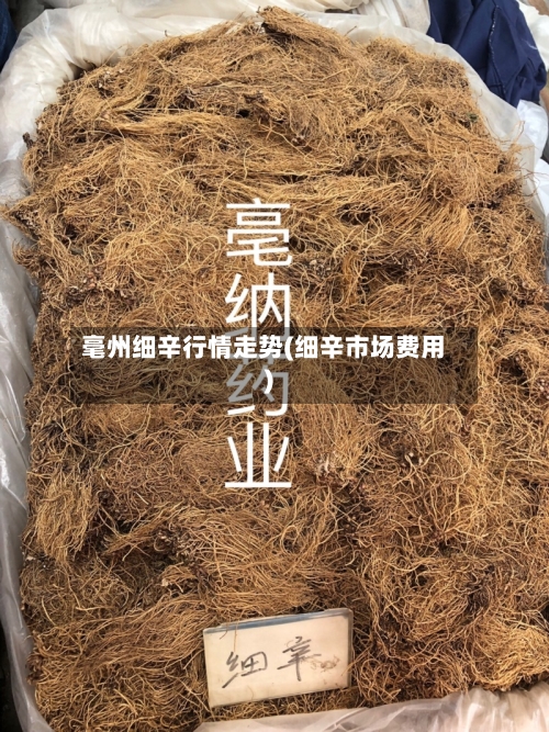 毫州细辛行情走势(细辛市场费用)-第1张图片