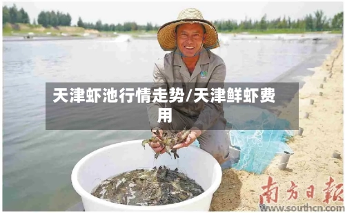 天津虾池行情走势/天津鲜虾费用