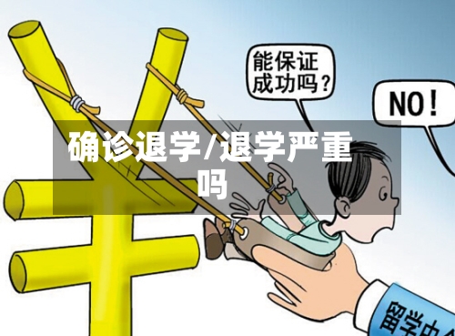 确诊退学/退学严重吗