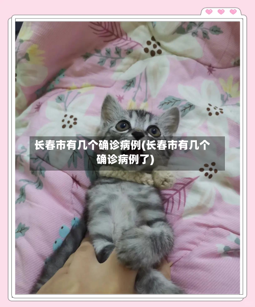 长春市有几个确诊病例(长春市有几个确诊病例了)-第2张图片