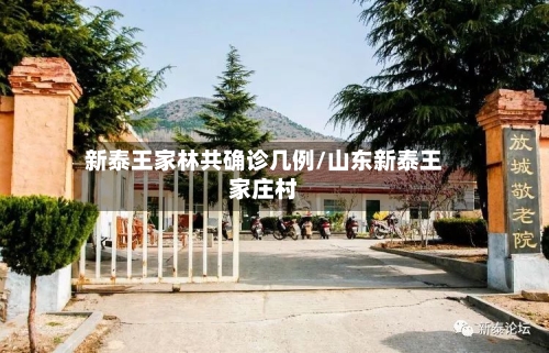 新泰王家林共确诊几例/山东新泰王家庄村-第2张图片