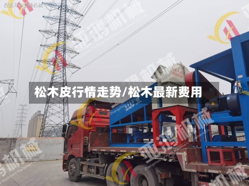 松木皮行情走势/松木最新费用-第3张图片
