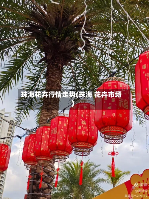 珠海花卉行情走势(珠海 花卉市场)