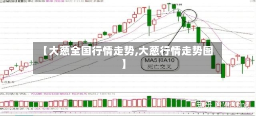 【大葱全国行情走势,大葱行情走势图】-第2张图片