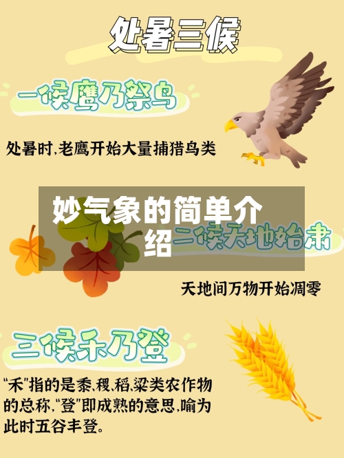 妙气象的简单介绍-第2张图片