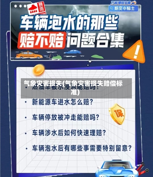 气象灾害损失(气象灾害损失赔偿标准)