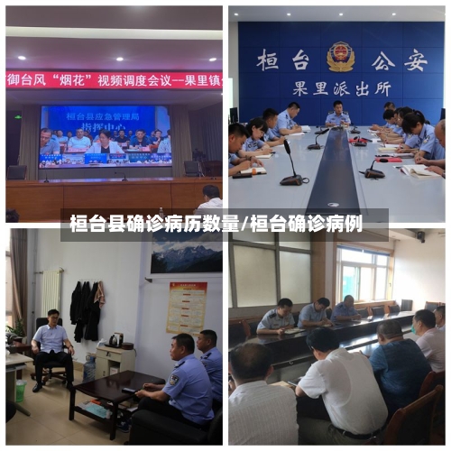 桓台县确诊病历数量/桓台确诊病例