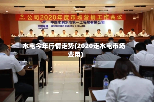 水电今年行情走势(2020走水电市场费用)-第3张图片