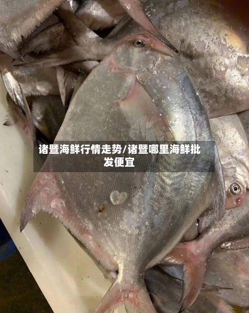 诸暨海鲜行情走势/诸暨哪里海鲜批发便宜