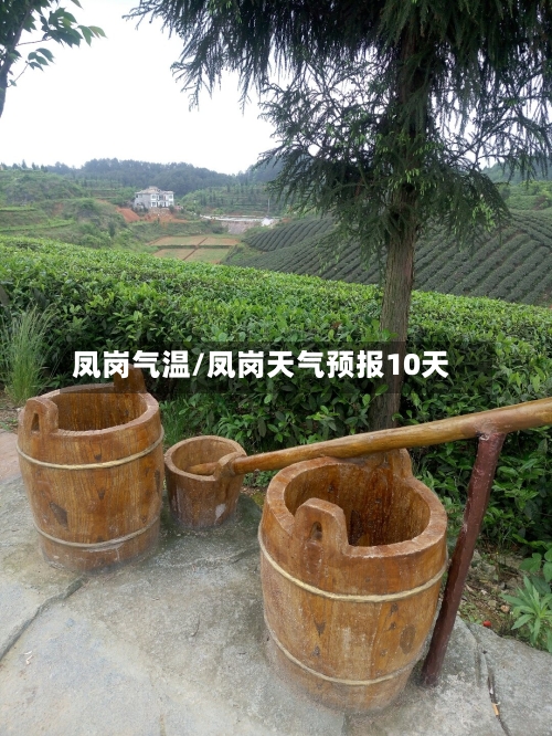 凤岗气温/凤岗天气预报10天
