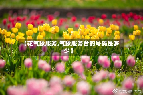 【花气象服务,气象服务台的号码是多少】-第1张图片