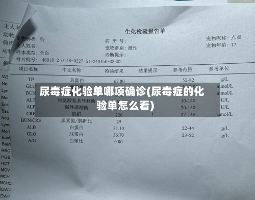 尿毒症化验单哪项确诊(尿毒症的化验单怎么看)-第3张图片