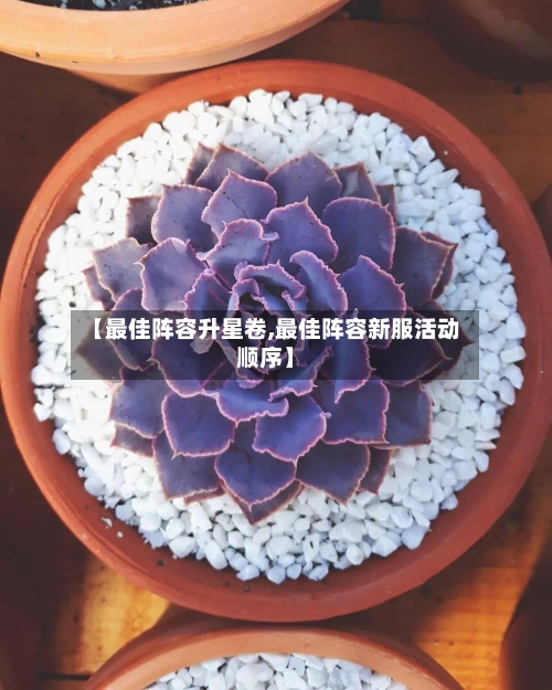 【最佳阵容升星卷,最佳阵容新服活动顺序】