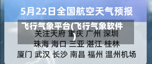 飞行气象平台(飞行气象软件)
