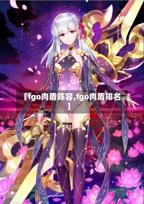 【fgo肉盾阵容,fgo肉盾排名】-第2张图片