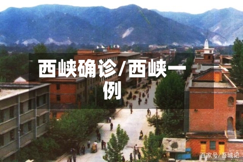 西峡确诊/西峡一例-第2张图片