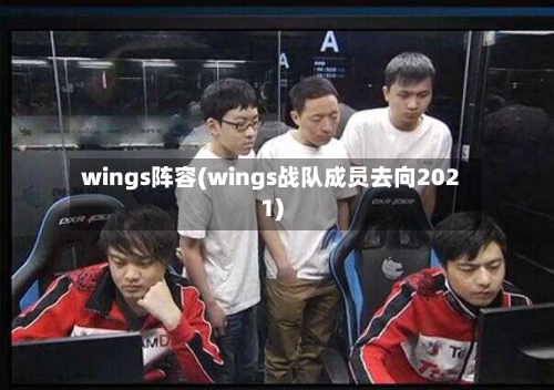 wings阵容(wings战队成员去向2021)