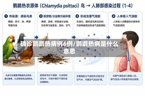 确诊鹦鹉热病例6例/鹦鹉热病是什么意思-第3张图片