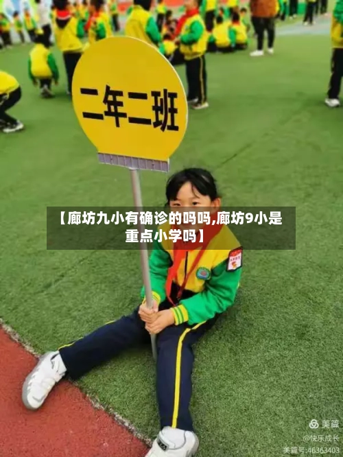 【廊坊九小有确诊的吗吗,廊坊9小是重点小学吗】-第2张图片