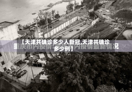 【天津共确诊多少人新冠,天津共确诊多少例】-第3张图片