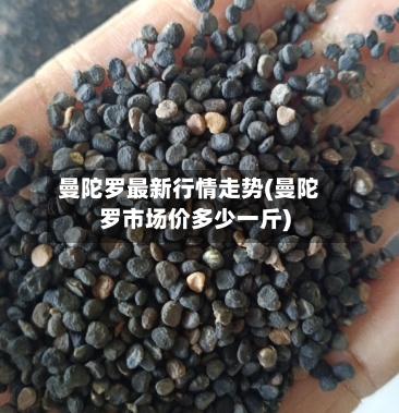 曼陀罗最新行情走势(曼陀罗市场价多少一斤)