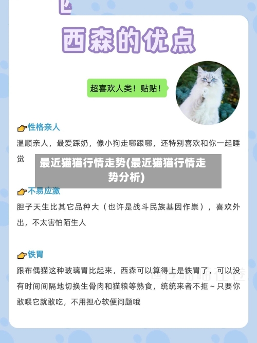 最近猫猫行情走势(最近猫猫行情走势分析)