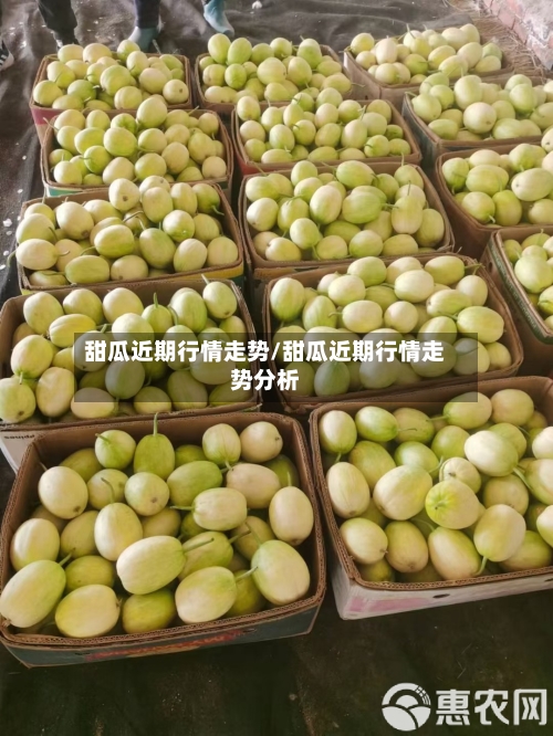 甜瓜近期行情走势/甜瓜近期行情走势分析