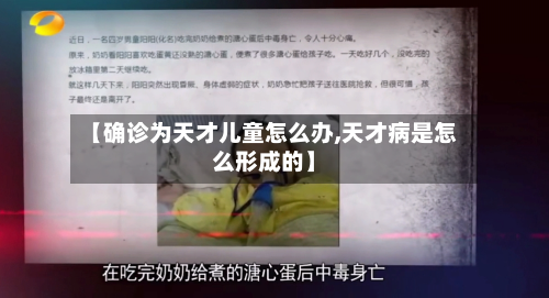【确诊为天才儿童怎么办,天才病是怎么形成的】-第3张图片