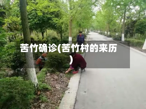 苦竹确诊(苦竹村的来历)-第2张图片