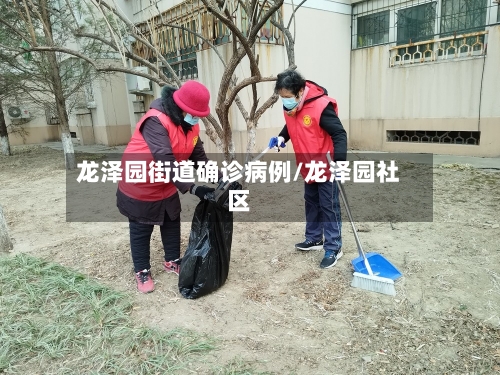 龙泽园街道确诊病例/龙泽园社区
