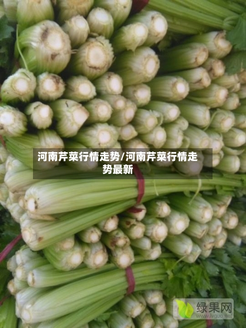 河南芹菜行情走势/河南芹菜行情走势最新-第2张图片