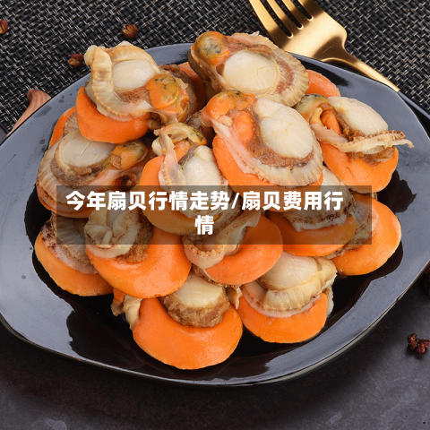今年扇贝行情走势/扇贝费用行情