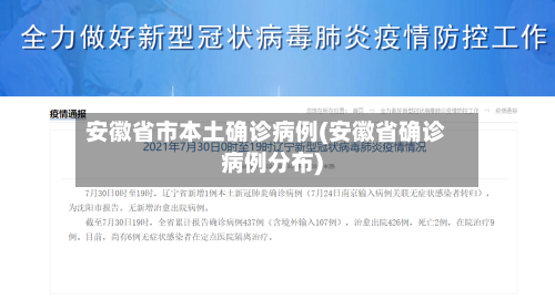 安徽省市本土确诊病例(安徽省确诊病例分布)-第2张图片