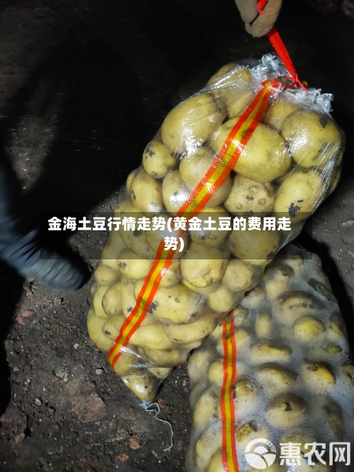 金海土豆行情走势(黄金土豆的费用走势)