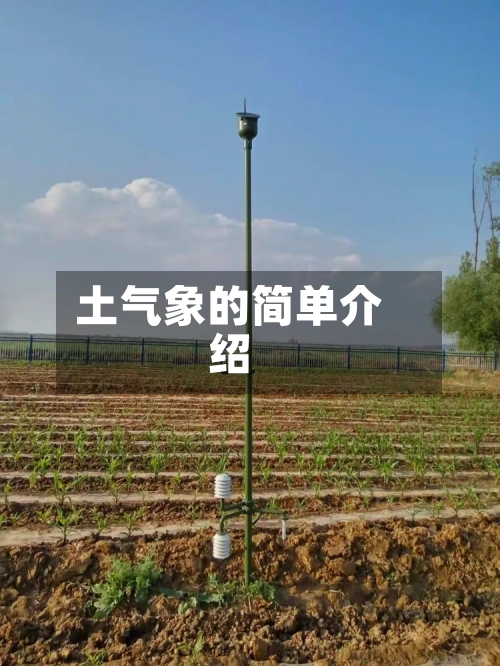 土气象的简单介绍