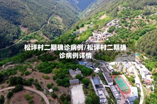 松坪村二期确诊病例/松坪村二期确诊病例详情