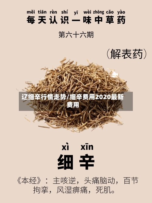 辽细辛行情走势/细辛费用2020最新费用-第2张图片