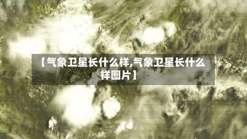 【气象卫星长什么样,气象卫星长什么样图片】