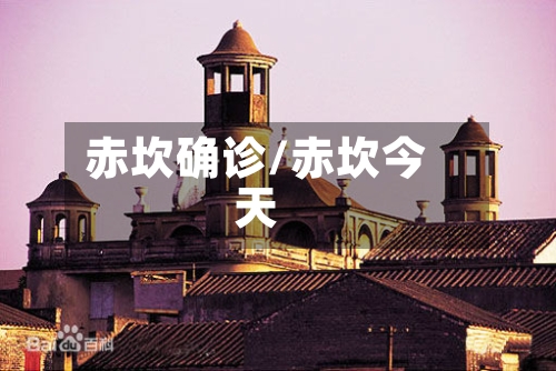 赤坎确诊/赤坎今天