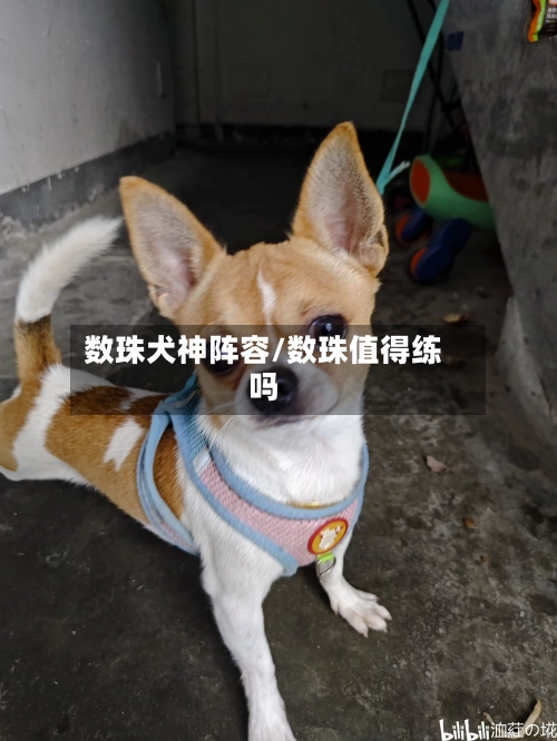 数珠犬神阵容/数珠值得练吗