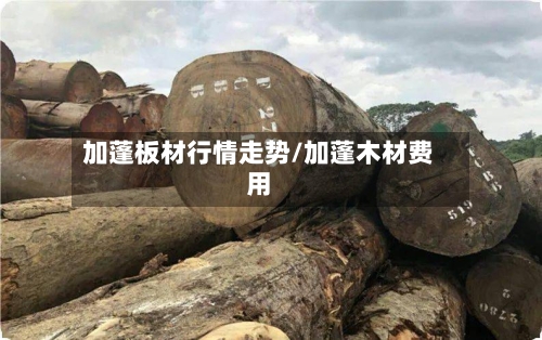 加蓬板材行情走势/加蓬木材费用-第2张图片
