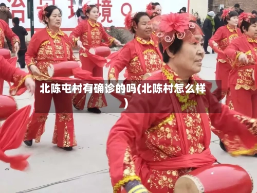 北陈屯村有确诊的吗(北陈村怎么样)-第2张图片